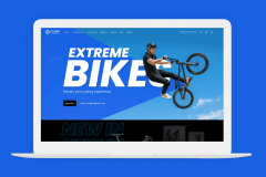 Optimizing UX for a Leading Bicycle E-Commerce Business